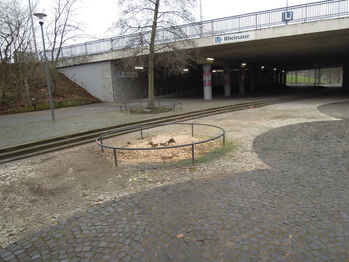 Haltestelle Rheinaue