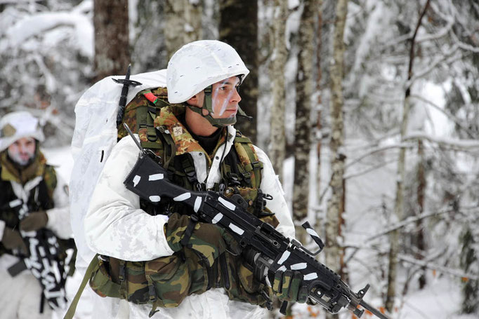 Alpini - Esercitazione in ambiente invernale