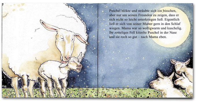 Pixi-Buch "Schlaf schön, kleines Schaf" Katja Reider © Caroline Ronnefeldt