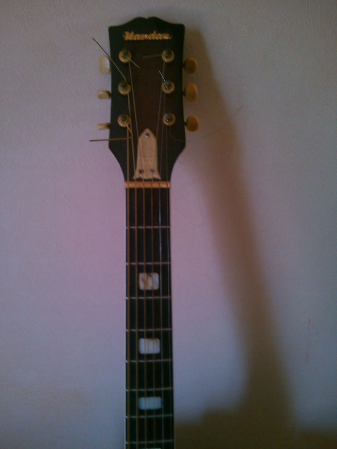 1960年代 Nardan ピックギター