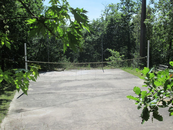 Aire de Badminton