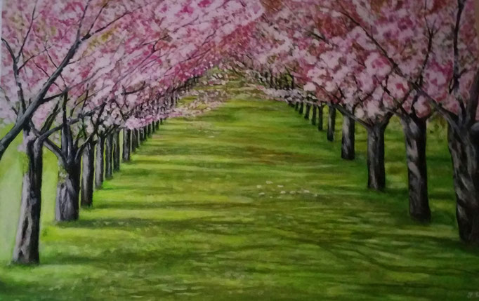 Kirschbäume, Acryl auf 70 x 100 cm Leinwand