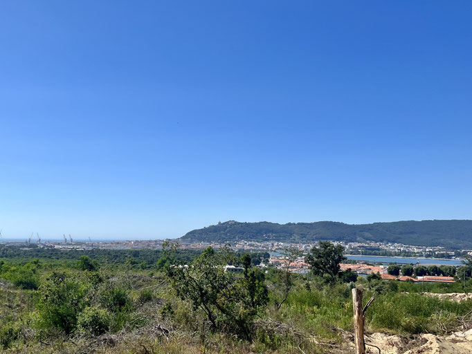 Blick auf Viana do Castelo