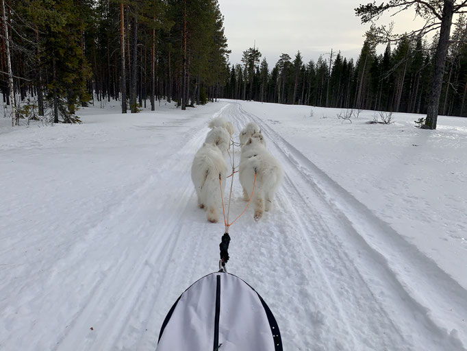 am Trail