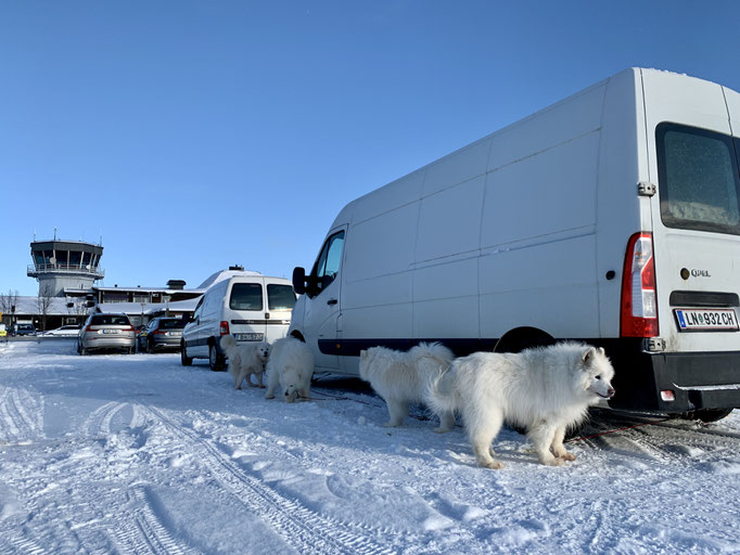 die Teddybären am Flugplatz in Arvidsjaur 