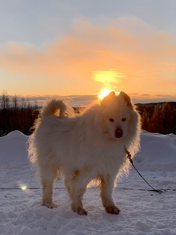 Yukon