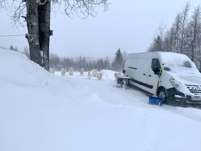 Neuschnee und Verwehungen