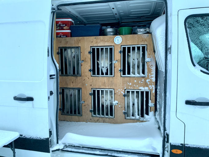  Neuschnee und Verwehungen auch im Bus