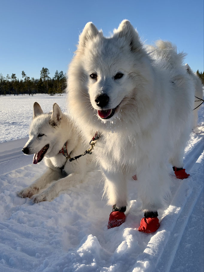Visa und Vicky