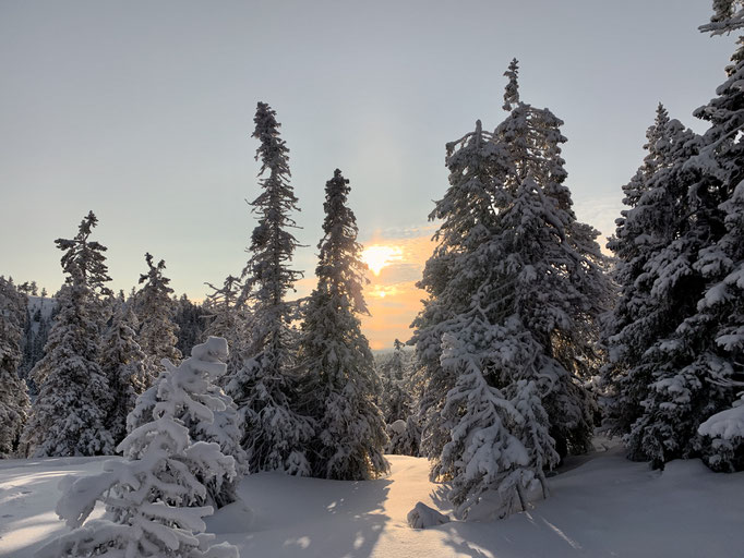 Schneeschuhwanderung 