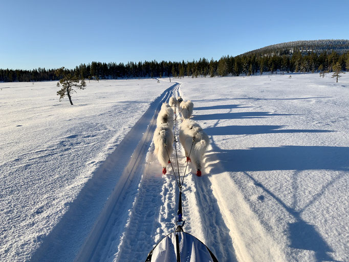 am Trail
