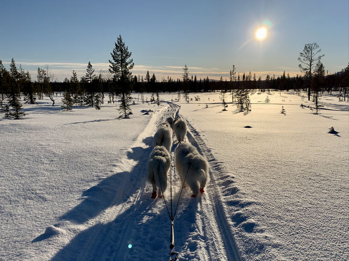 am Trail