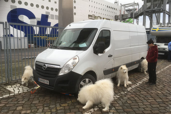 Ankunft in Kiel am 17.02., Abfahrt der Fähre um 18:45