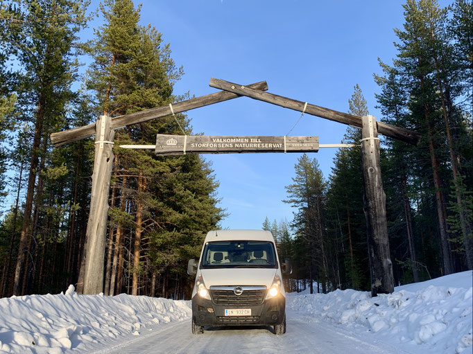 Storforsen 