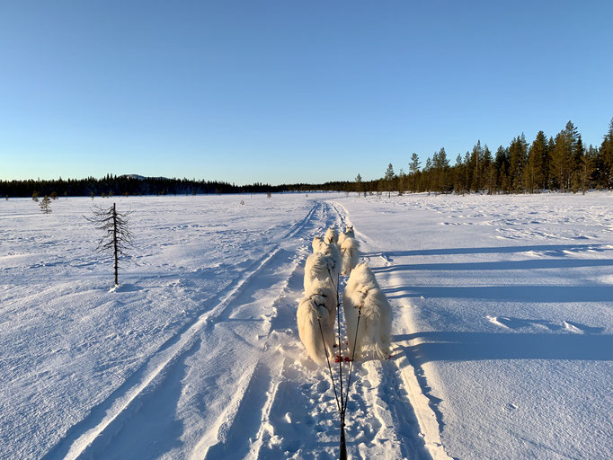 am Trail 