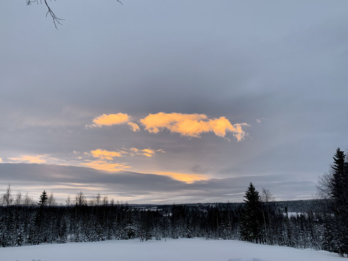 Morgenstimmung 