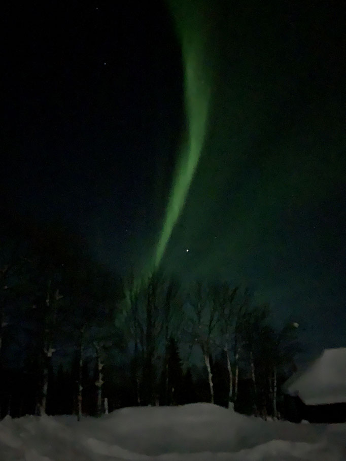 Nordlicht