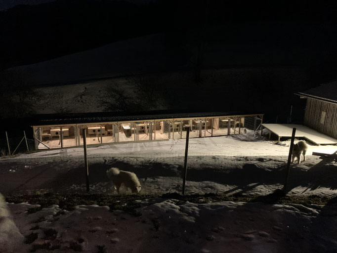 Ankunft Zuhause am 09.02. um 20:00