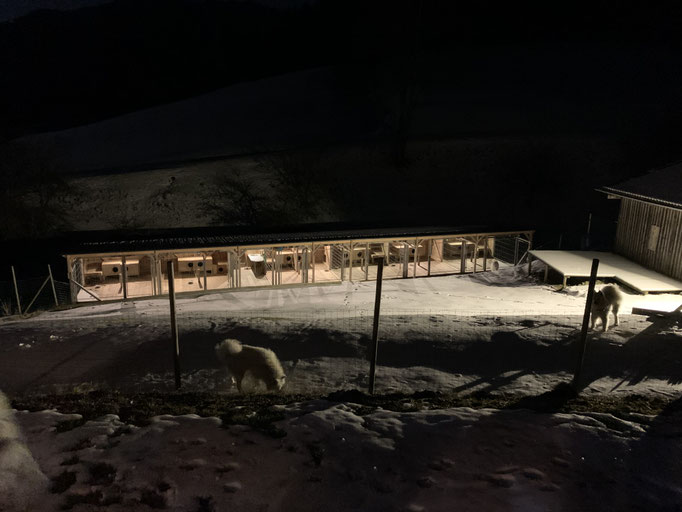 Ankunft Zuhause am 09.02. um 20:00