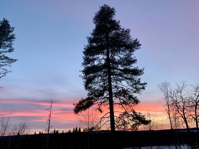 Abendstimmung 