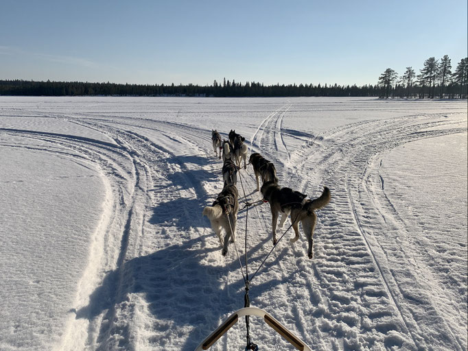 am Trail 