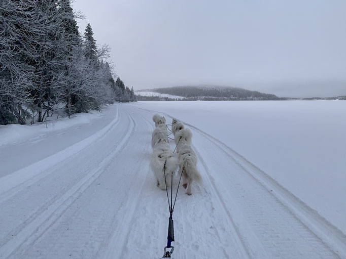  am Skoterled (Bockträsk)