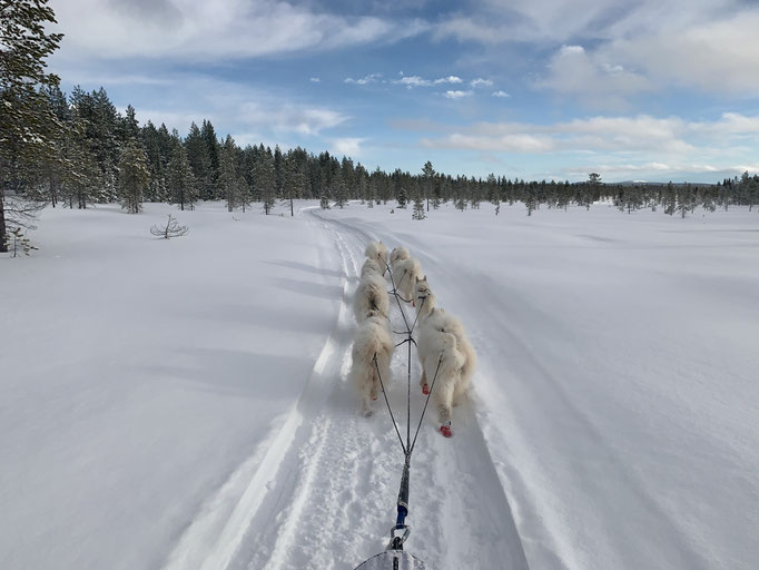am Trail 