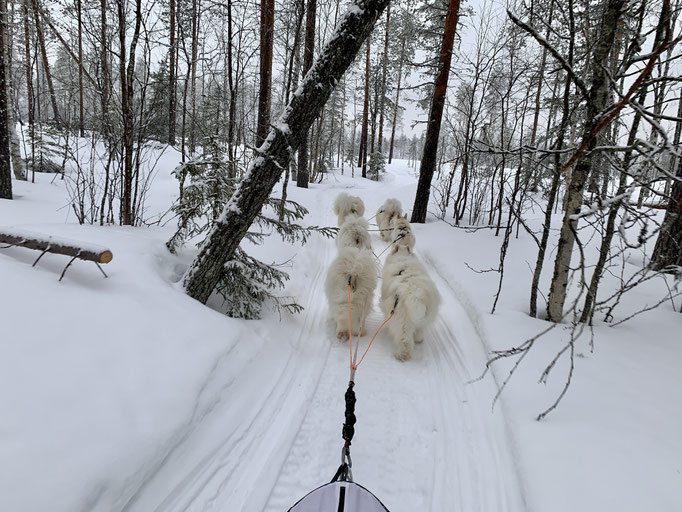 am Trail 