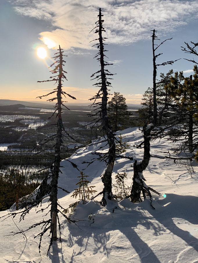 am Malåberget