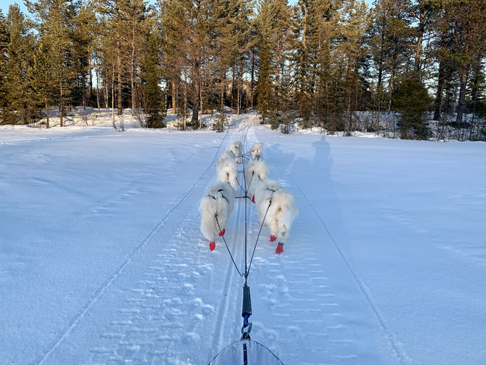 am Skoterled