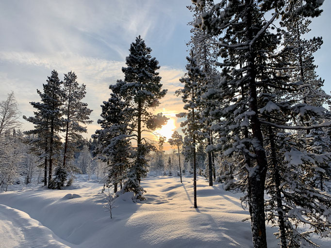 Schneeschuhwanderung 