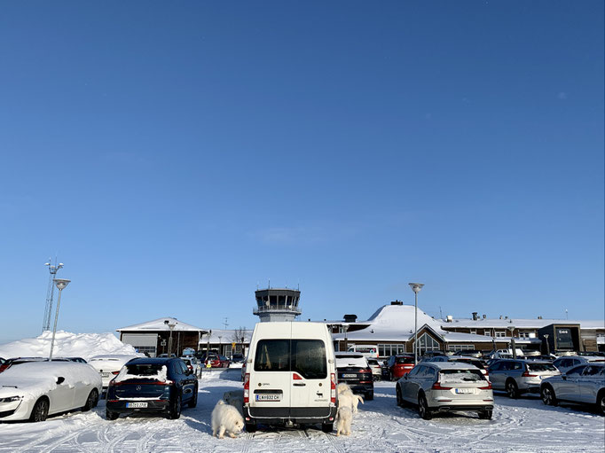die Teddybären am Flugplatz in Arvidsjaur 