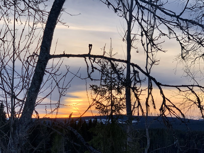 Abendstimmung 