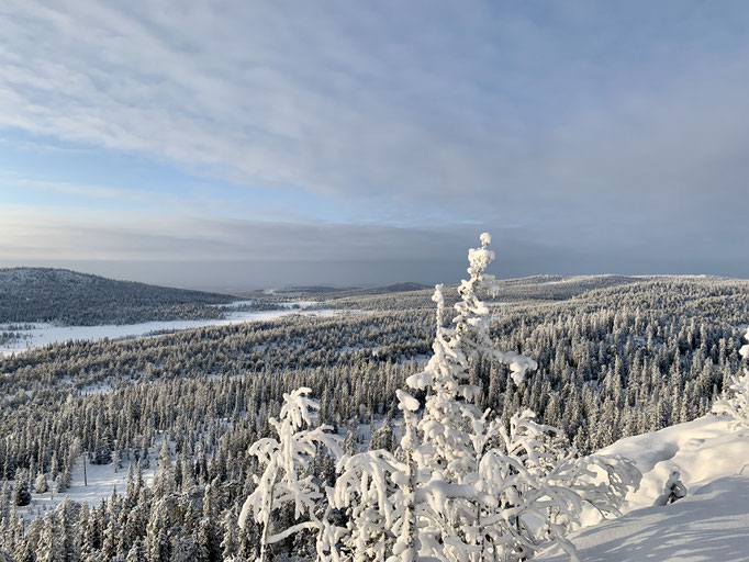 Kvickmyrberget