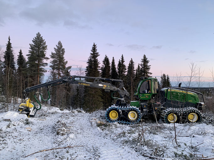 Rodungsarbeiten am Hemberget 