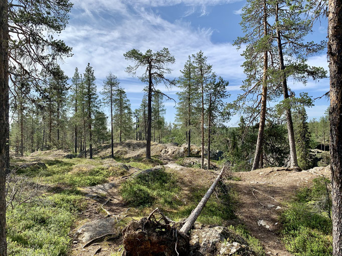 Wanderung Gimegolts