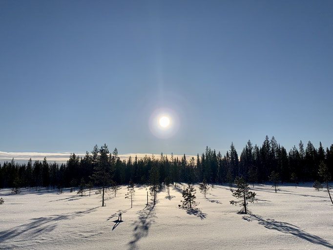 am Trail