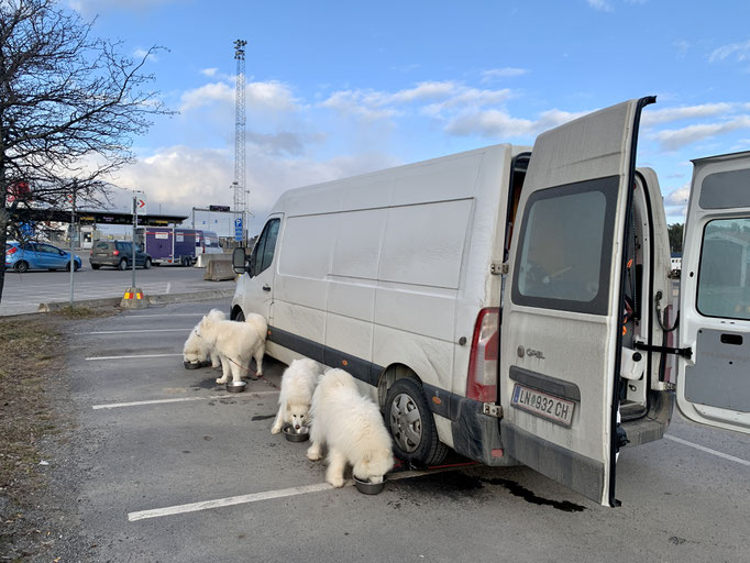 Ankunft in Nynäshamn 