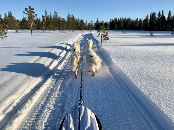 am Trail 