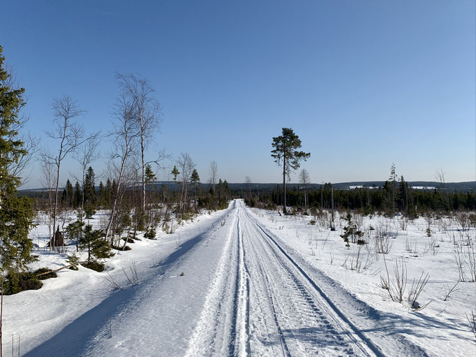 am Trail 