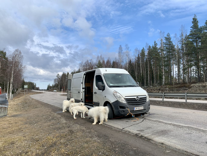 zweiter Stopp in Ljusne