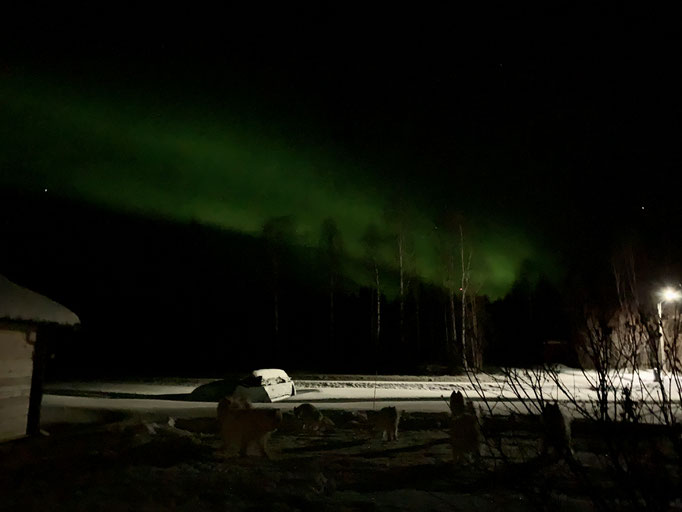 Nordlicht 