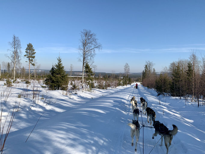 am Trail 