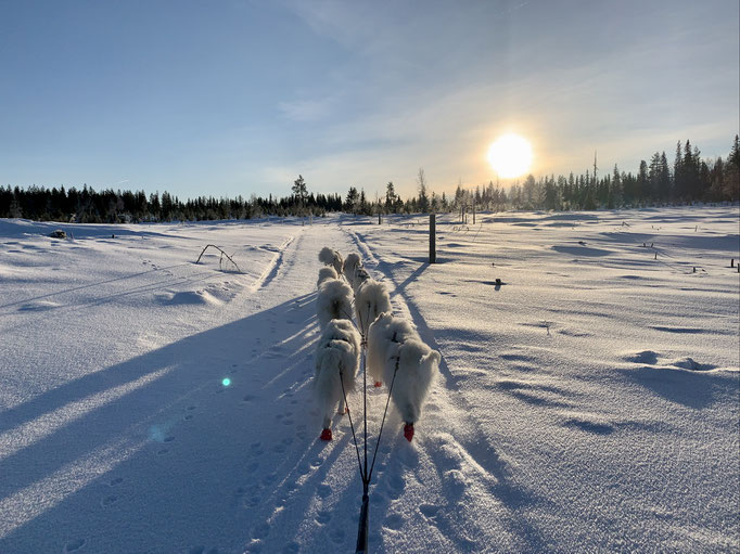 am Skoterled