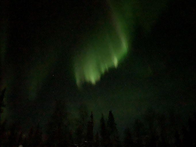 Nordlicht