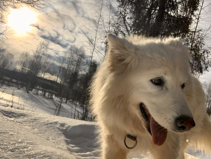 Snowy