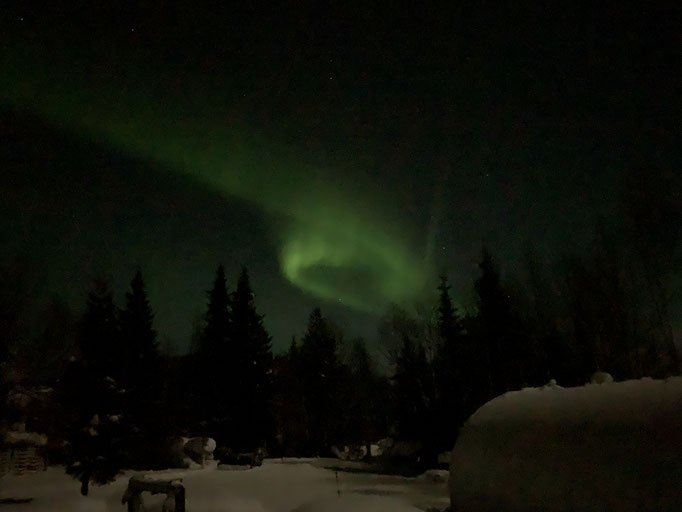 Nordlicht