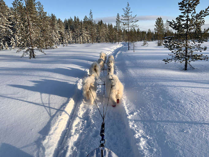 am Trail