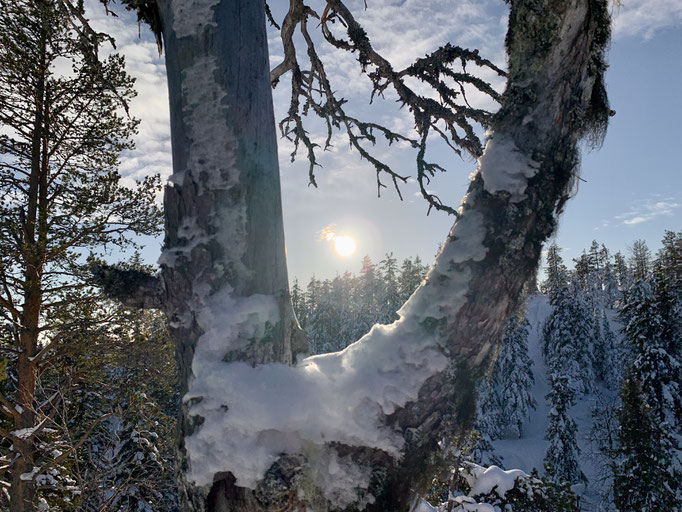 am Malåberget