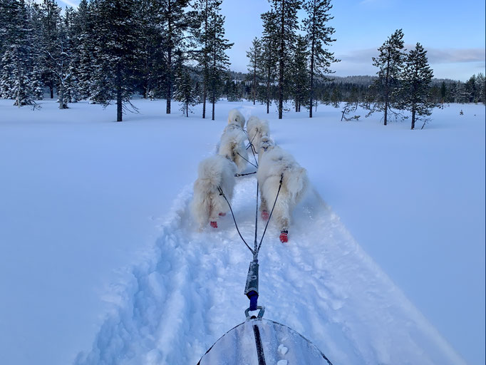 am Trail